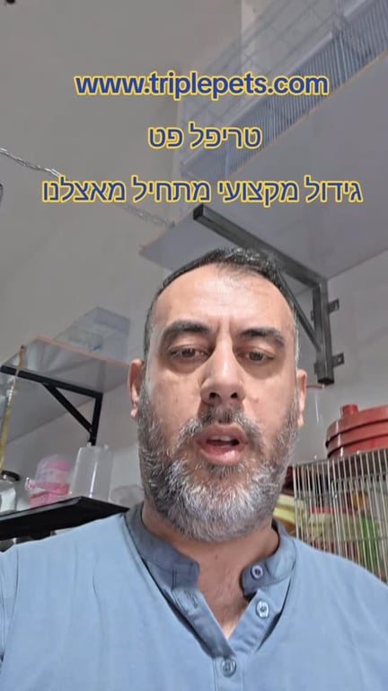 הזמנות בדרך ללקוחות מרוצים