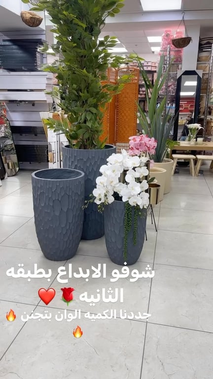 منشور من طيبة شفاعمرو