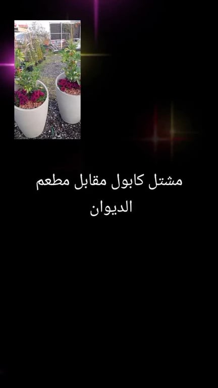 منشور من مشتل كابول