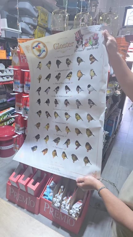 הבטחנו וקיימנו