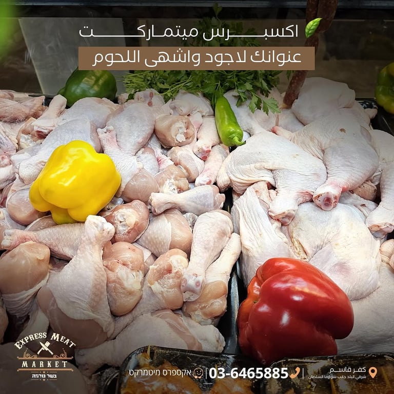 الصور وبتتكلم وشكل لحمتنا بيتكلم