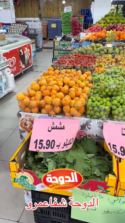 مشمش